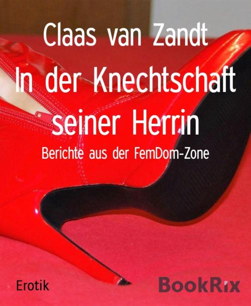 Cover of the book In der Knechtschaft seiner Herrin by Claas van Zandt, BookRix
