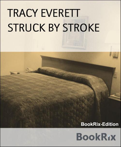 Cover of the book STRUCK BY STROKE by TRACY EVERETT, BookRix
