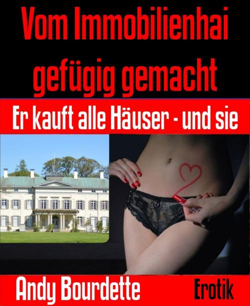 Cover of the book Vom Immobilienhai gefügig gemacht by Andy Bourdette, BookRix