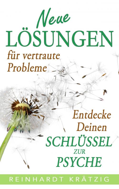 Cover of the book Neue Lösungen für vertraute Probleme by Reinhardt Krätzig, Books on Demand