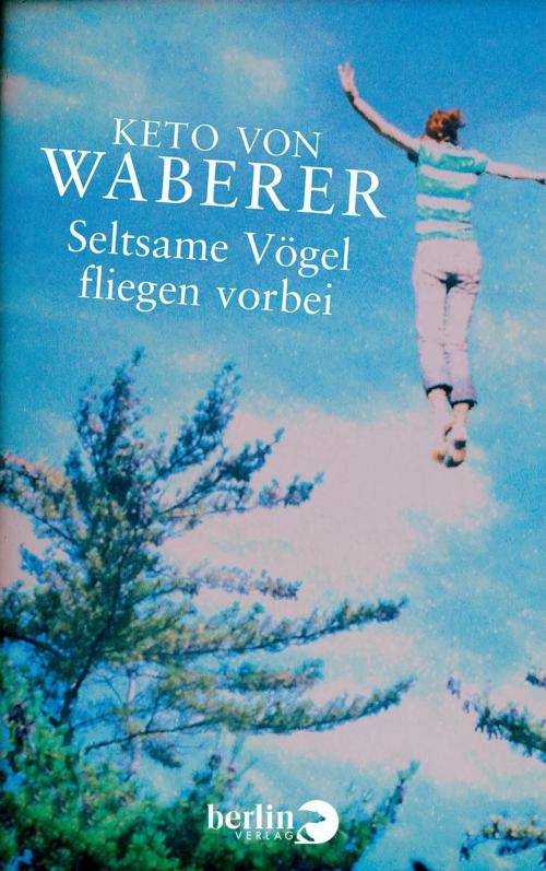 Cover of the book Seltsame Vögel fliegen vorbei by Keto von Waberer, eBook Berlin Verlag