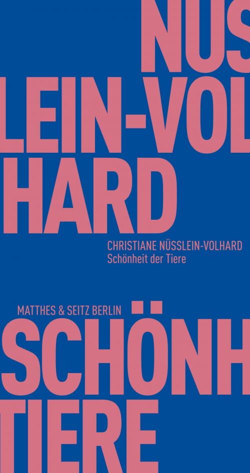 Cover of the book Schönheit der Tiere by Christiane Nüsslein-Volhard, Matthes & Seitz Berlin Verlag