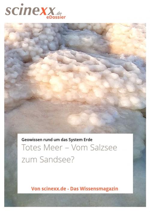 Cover of the book Totes Meer by Dieter Lohmann, YOUPublish