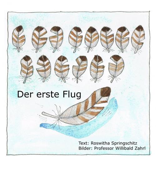 Cover of the book Der erste Flug by Roswitha Springschitz, Morawa Lesezirkel