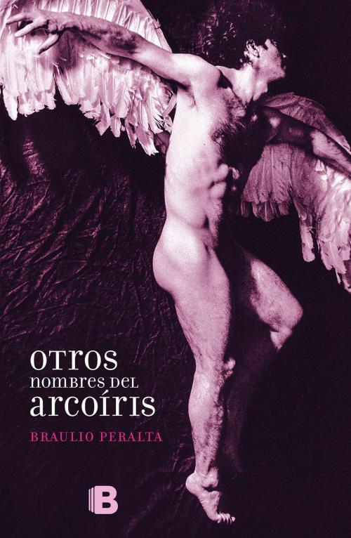 Cover of the book Otros nombres del arcoiris by Braulio Peralta, Penguin Random House Grupo Editorial México