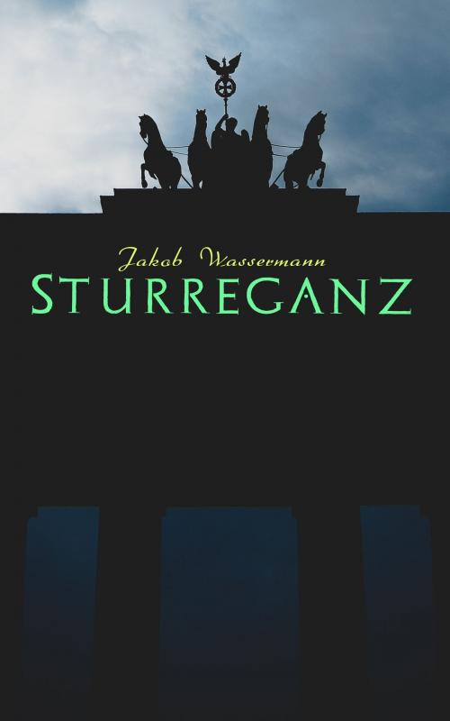 Cover of the book Sturreganz by Jakob Wassermann, e-artnow