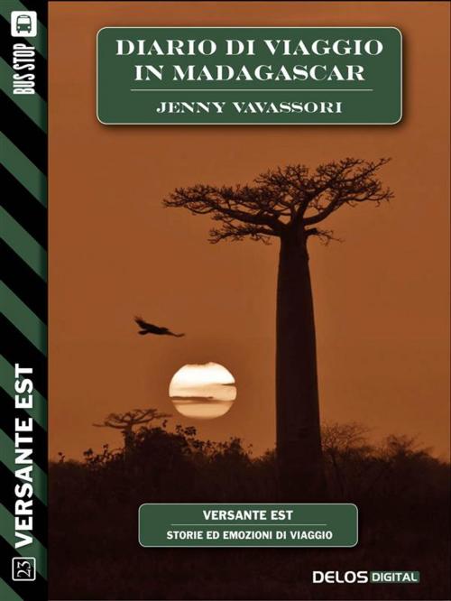 Cover of the book Diario di viaggio in Madagascar by Jenny Vavassori, Delos Digital