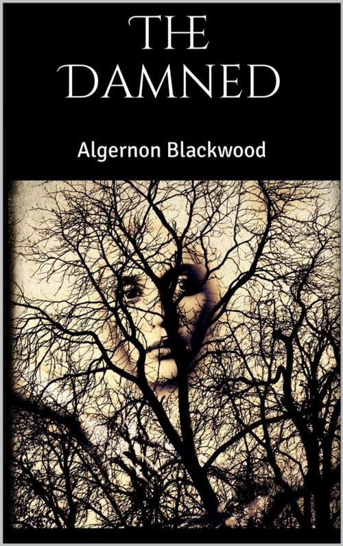 Cover of the book The Damned by Algernon Blackwood, Skyline