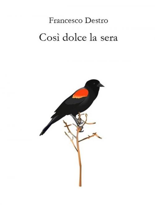 Cover of the book Così dolce la sera by Francesco Destro, Franciscus