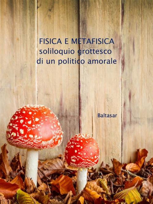 Cover of the book fisica e metafisica by Baltasar, Baltasar
