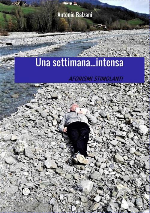 Cover of the book Una settimana intensa by Antonio Balzani, Antonio Balzani