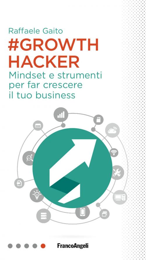 Cover of the book Growth Hacker by Raffaele Gaito, Franco Angeli Edizioni
