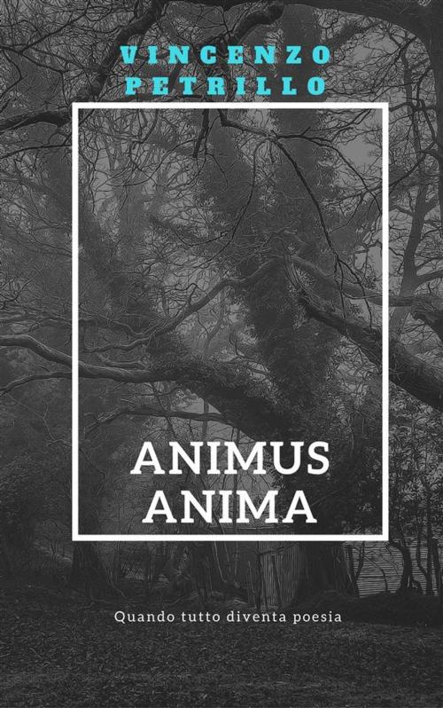 Cover of the book Animus Anima by Vincenzo Petrillo, Youcanprint