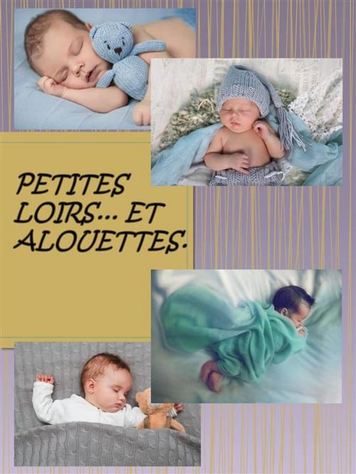 Cover of the book Petit Loir et Alouettes by Stefania Sonzogno, Youcanprint