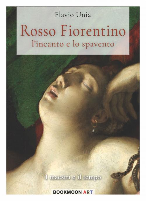 Cover of the book Rosso Fiorentino by Flavio Unia, Soldiershop