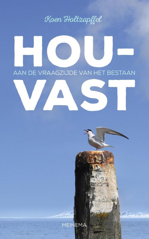 Cover of the book Houvast by Koen Holtzapffel, VBK Media