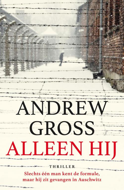 Cover of the book Alleen hij by Andrew Gross, VBK Media