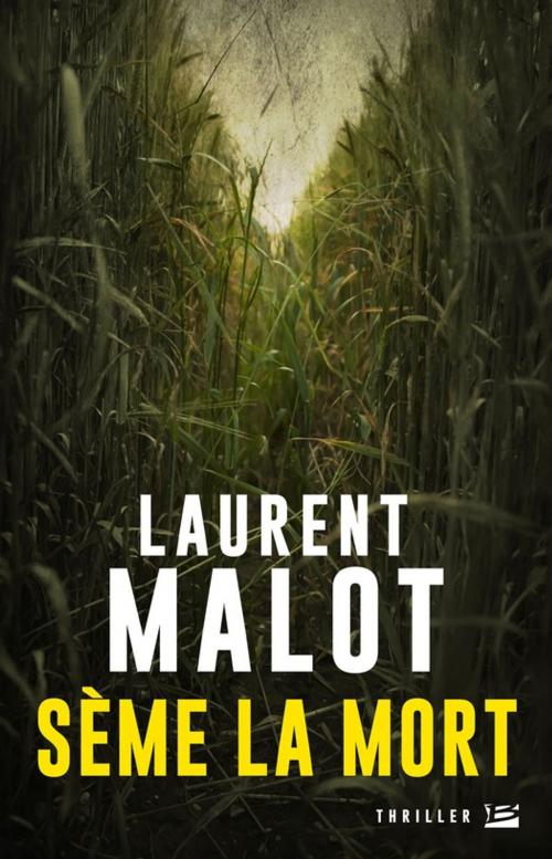 Cover of the book Sème la mort by Laurent Malot, Bragelonne