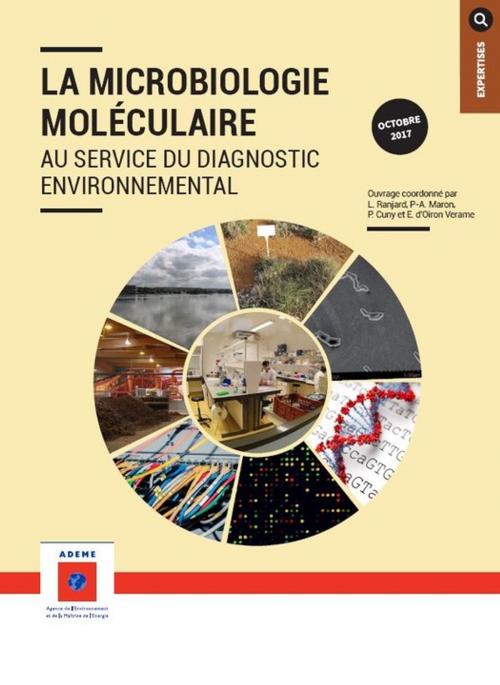 Cover of the book Microbiologie moléculaire au service du diagnostic environnemental (La) by ademe, ADEME
