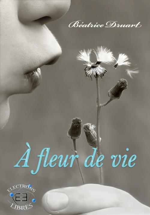 Cover of the book De l'ombre à la lumière by Béatrice Druart, Evidence Editions