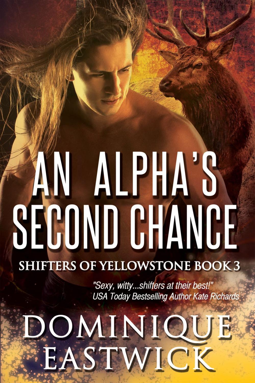 Big bigCover of An Alpha’s Second Chance