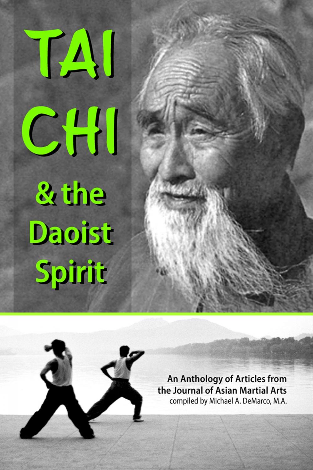 Big bigCover of Tai Chi and the Daoist Spirit