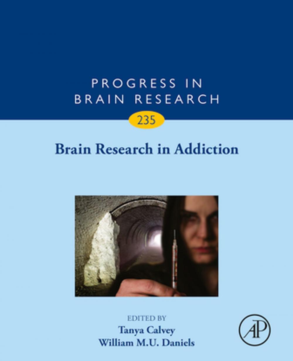 Big bigCover of Brain Research in Addiction