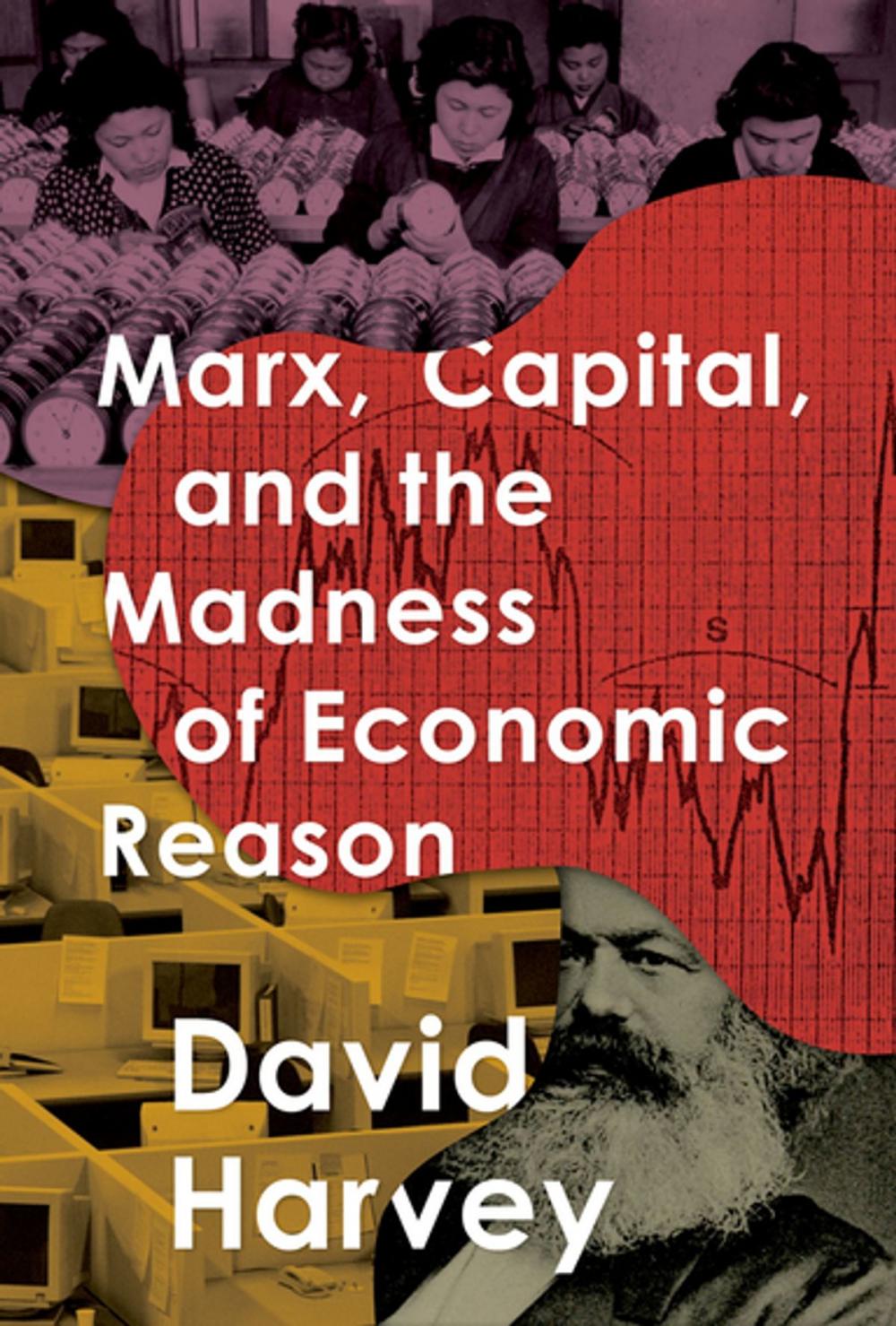 Big bigCover of Marx, Capital, and the Madness of Economic Reason