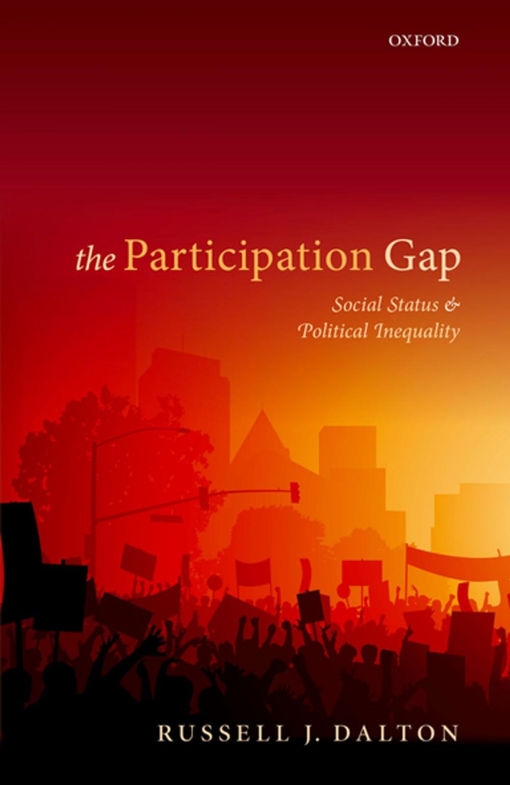 Big bigCover of The Participation Gap