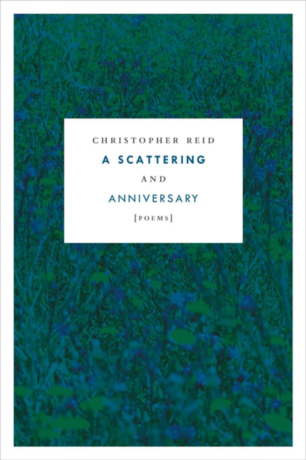 Big bigCover of A Scattering and Anniversary