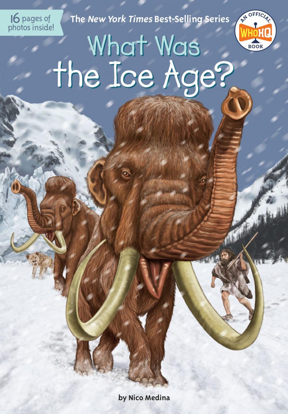 Big bigCover of What Was the Ice Age?