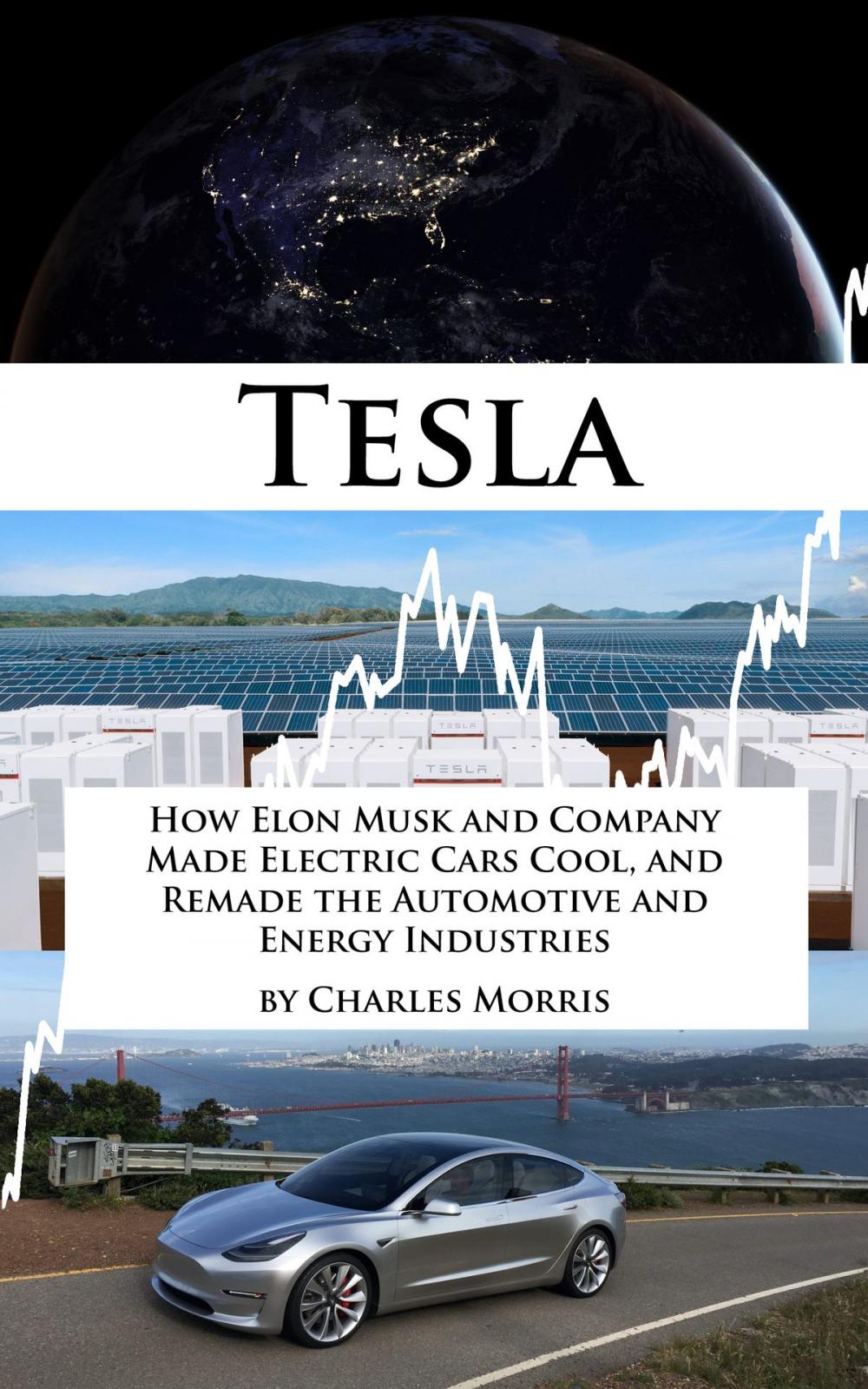 Big bigCover of Tesla: How Elon Musk and Company Made Electric Cars Cool, and Remade the Automotive and Energy Industries