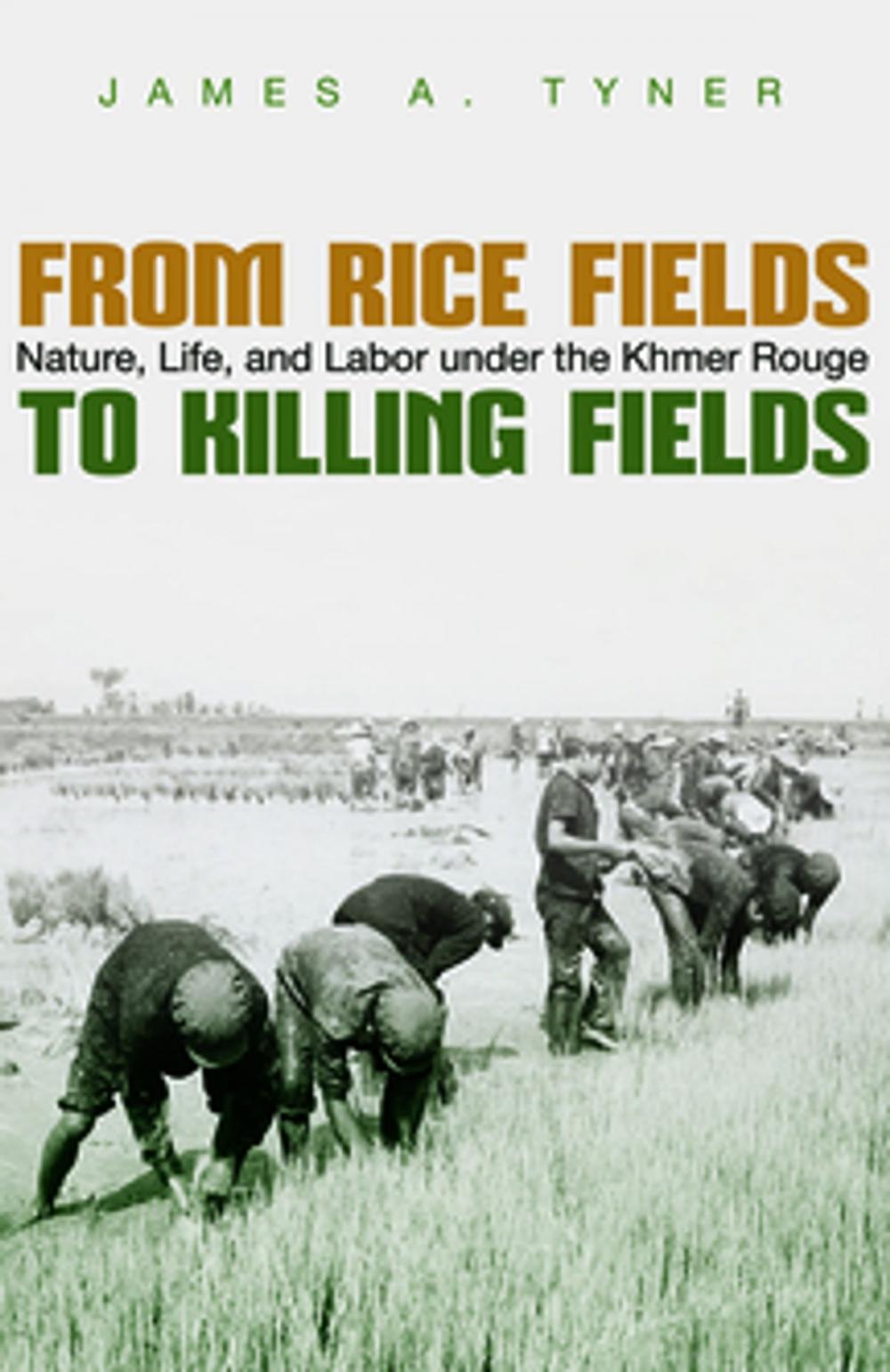 Big bigCover of From Rice Fields to Killing Fields