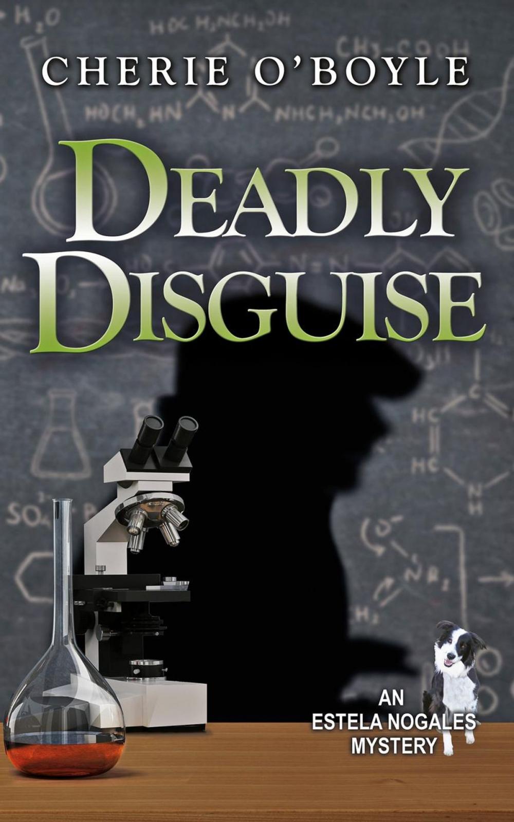 Big bigCover of Deadly Disguise