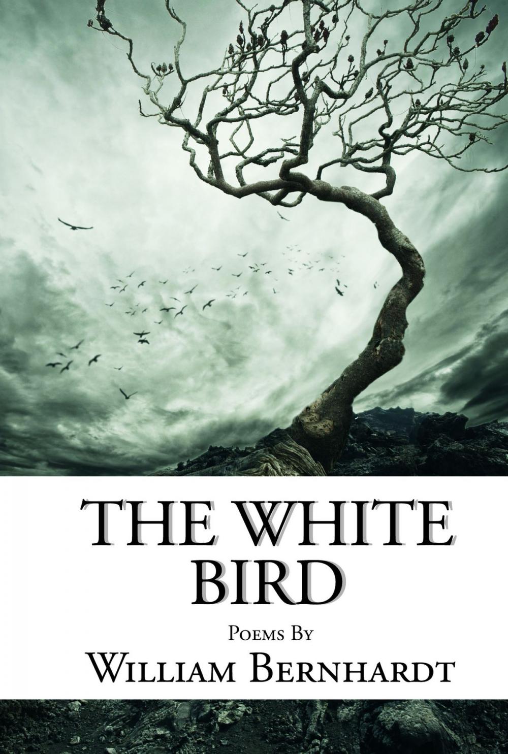 Big bigCover of The White Bird