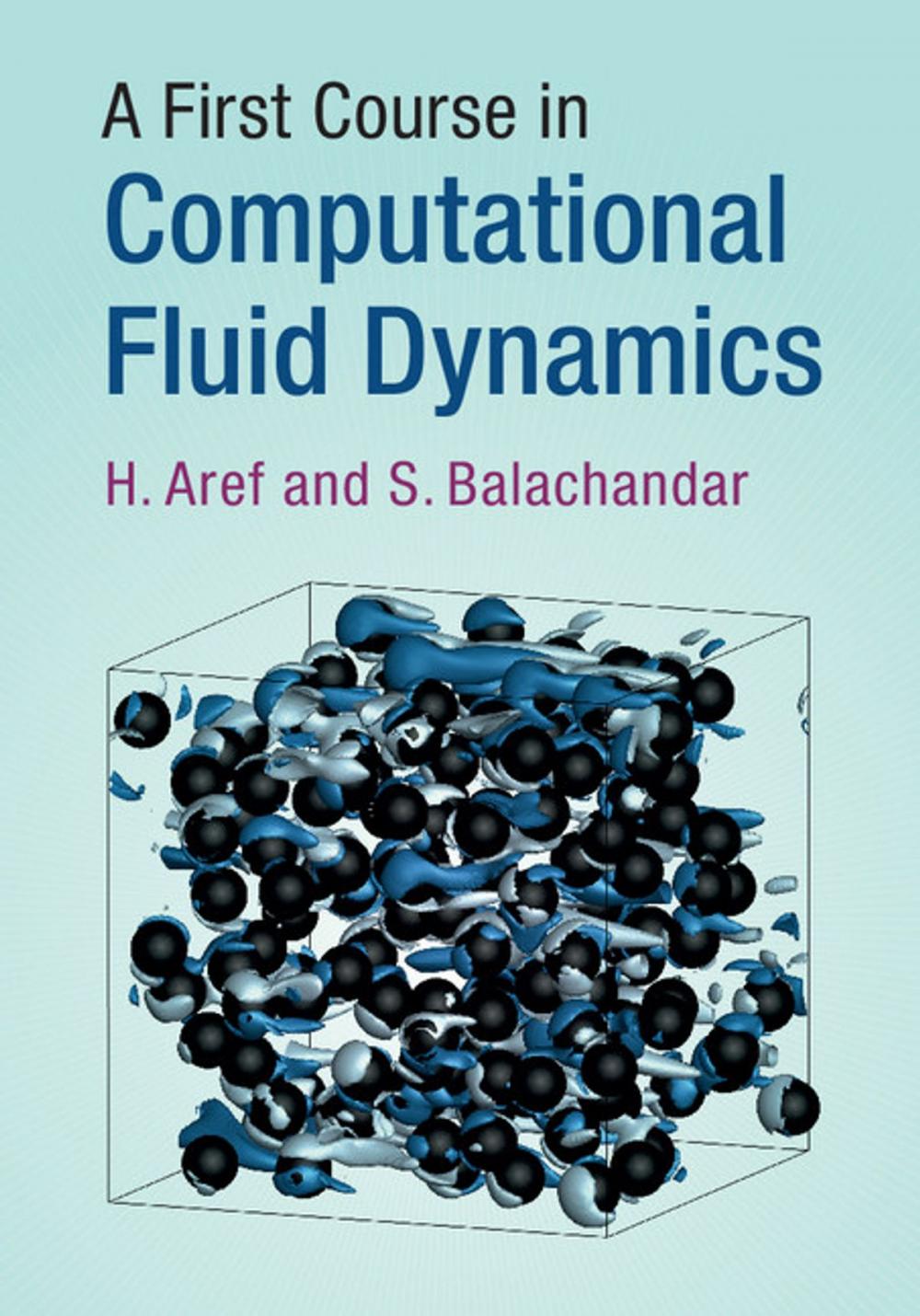 Big bigCover of A First Course in Computational Fluid Dynamics