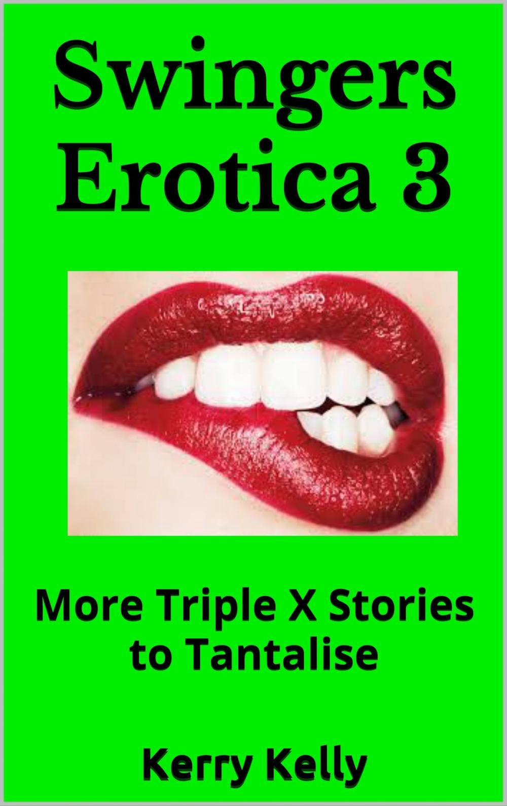 Big bigCover of Swingers Erotica 3: More Triple X Stories To Tantalise