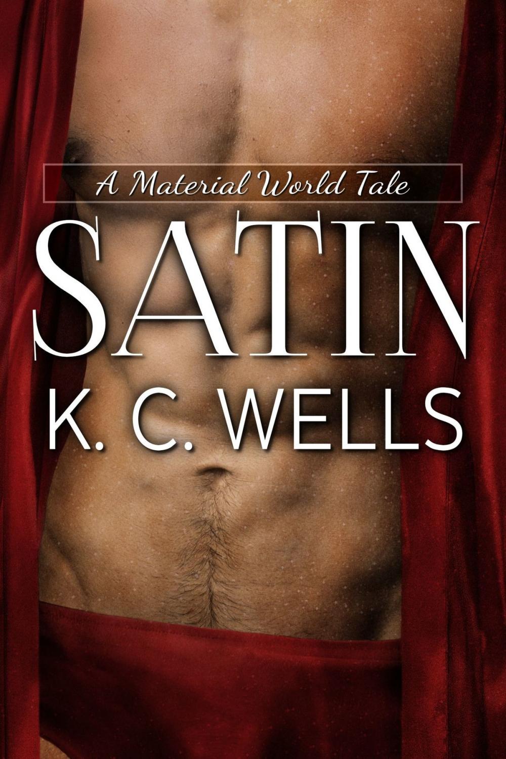 Big bigCover of Satin (A Material World #2)
