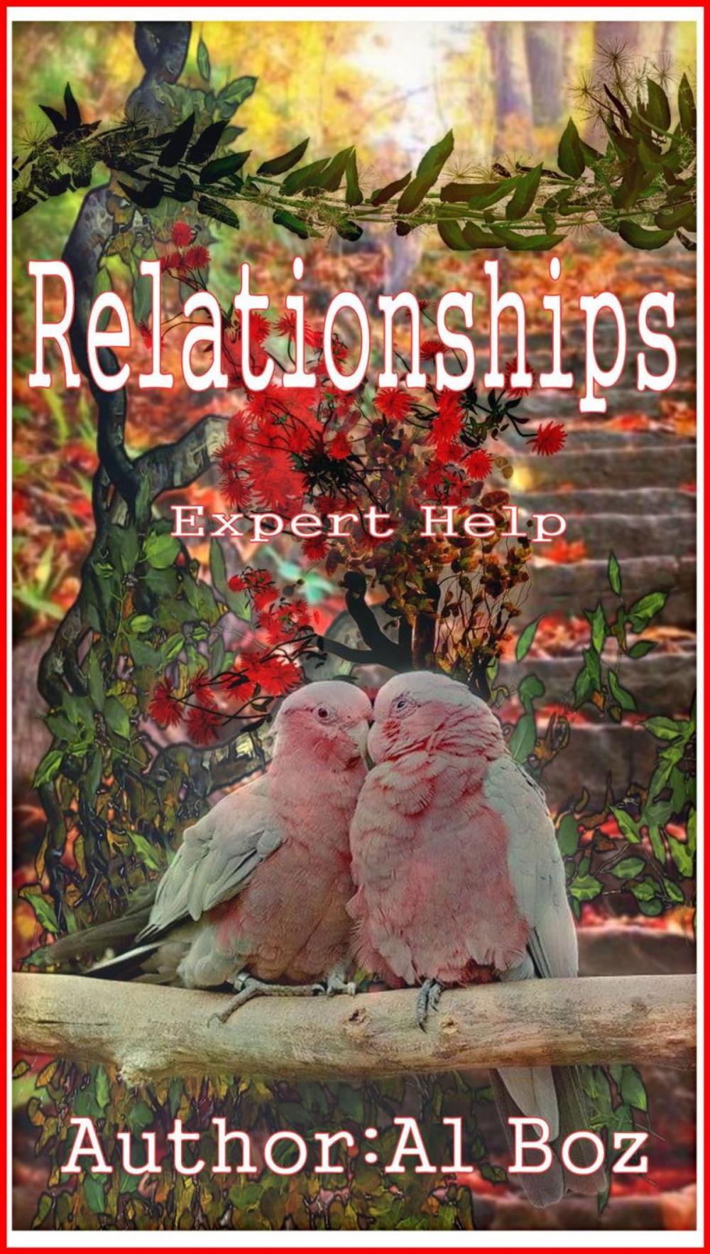 Big bigCover of Relationships