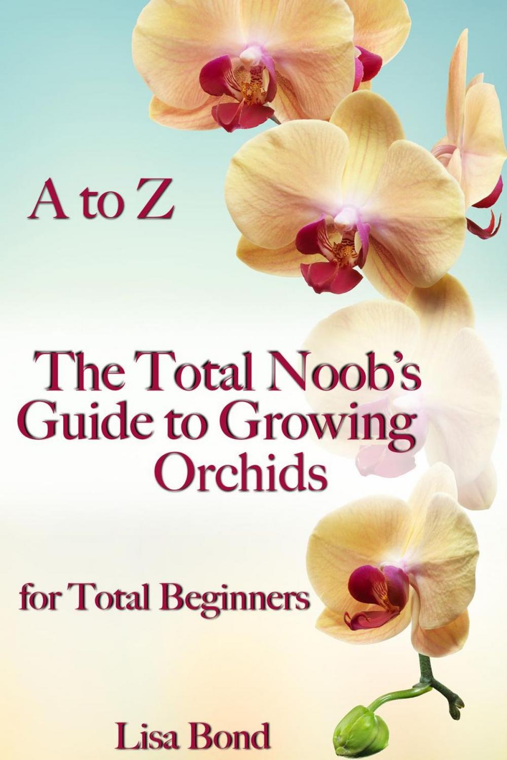 Big bigCover of A to Z The Total Noob's Guide to Growing Orchids for Total Beginners