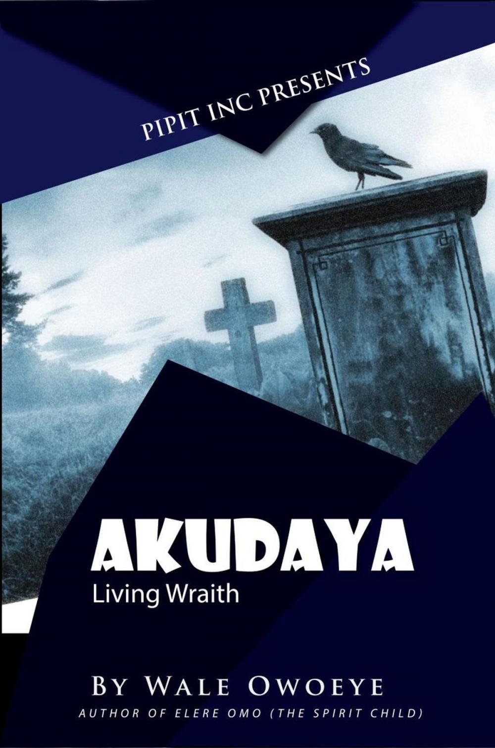 Big bigCover of Akudaya: Living Wraith