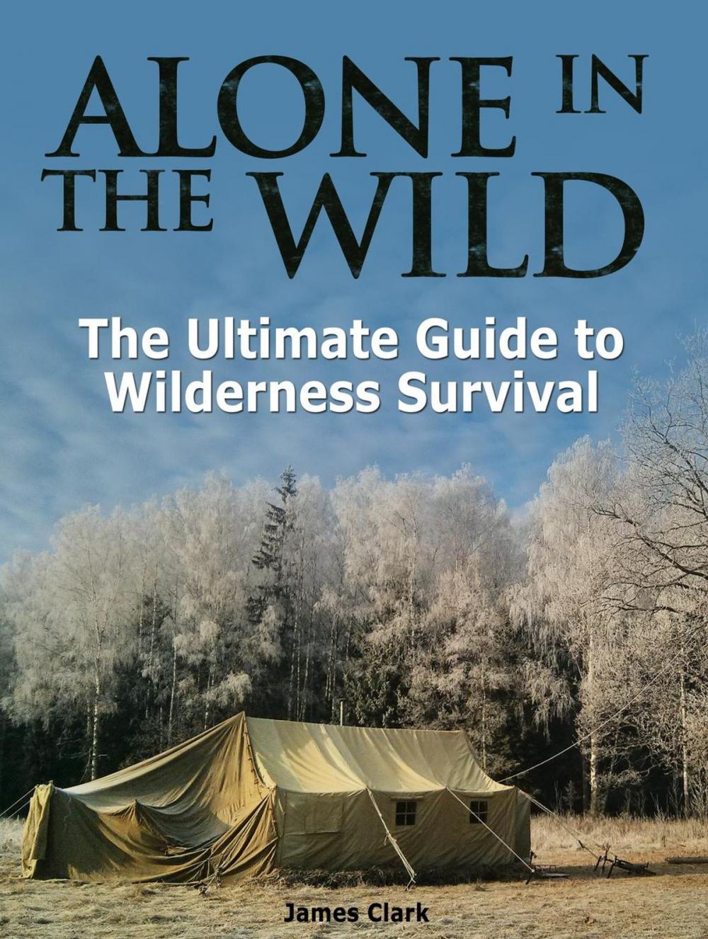 Big bigCover of Alone in the Wild: The Ultimate Guide to Wilderness Survival