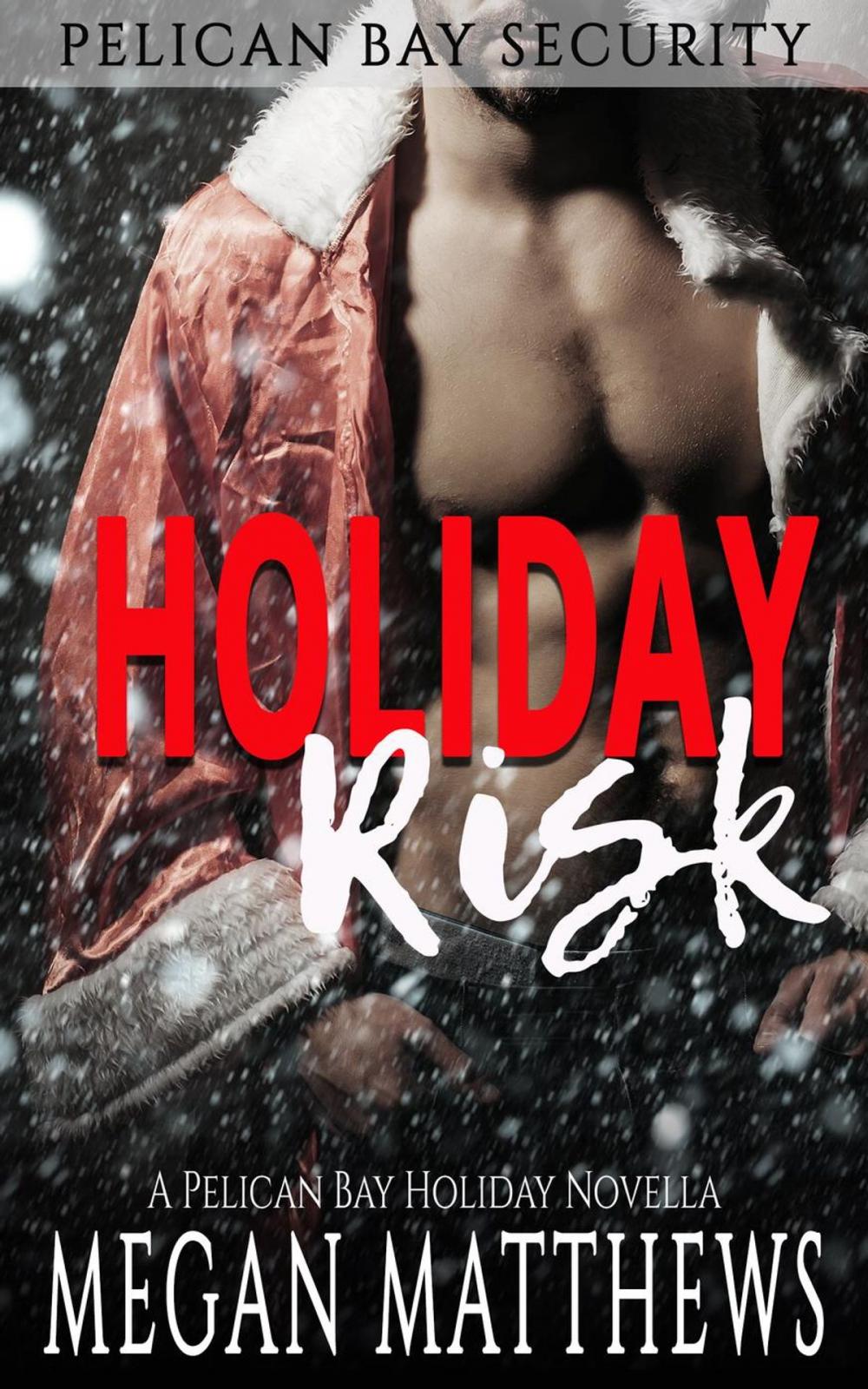 Big bigCover of Holiday Risk