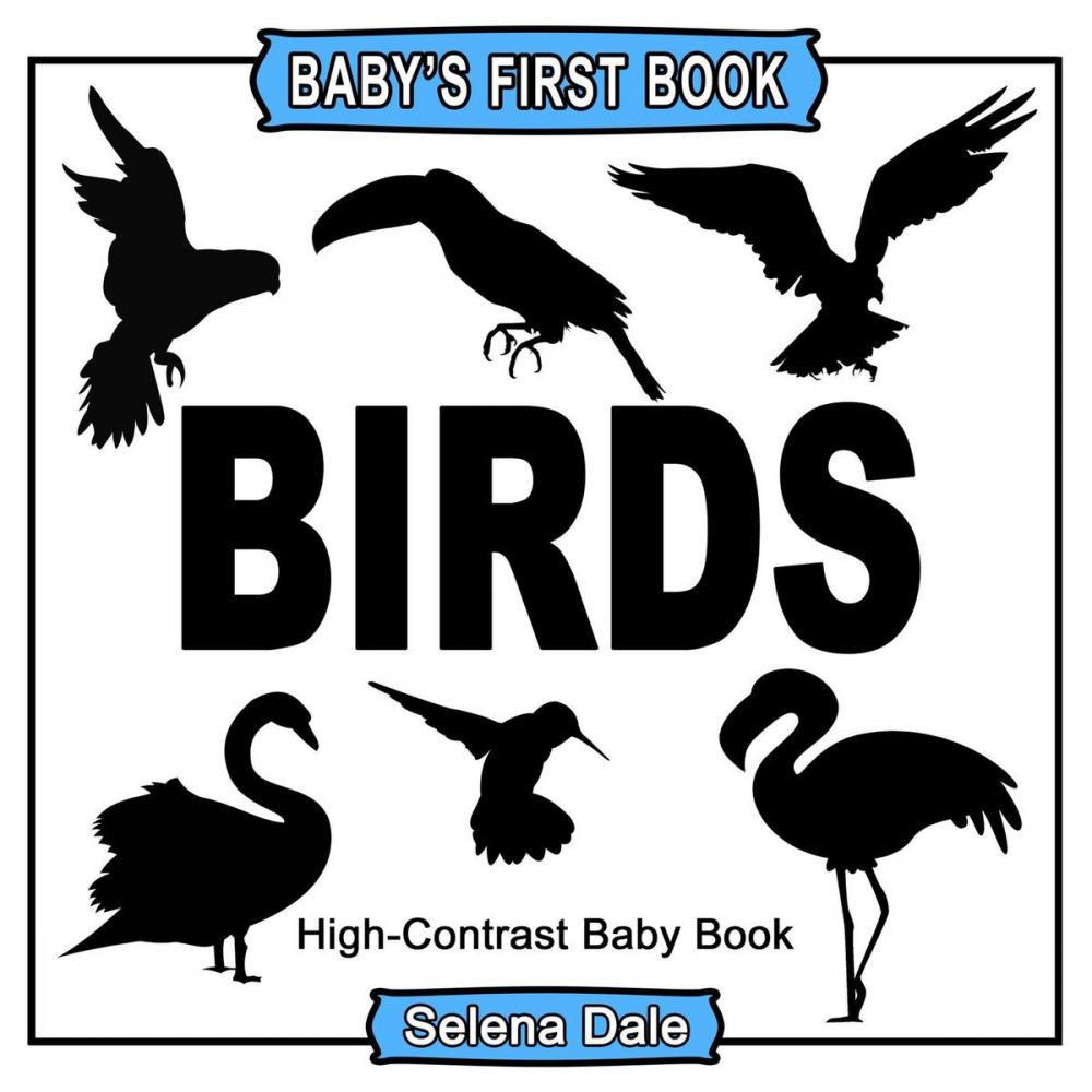 Big bigCover of Baby's First Book: Birds: High-Contrast Black and White Baby Book