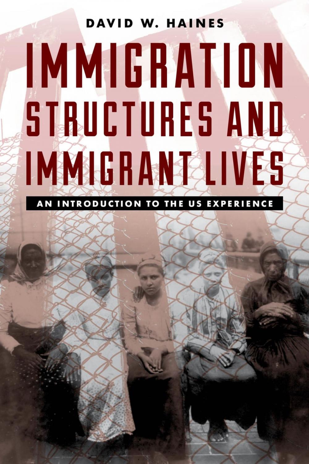 Big bigCover of Immigration Structures and Immigrant Lives
