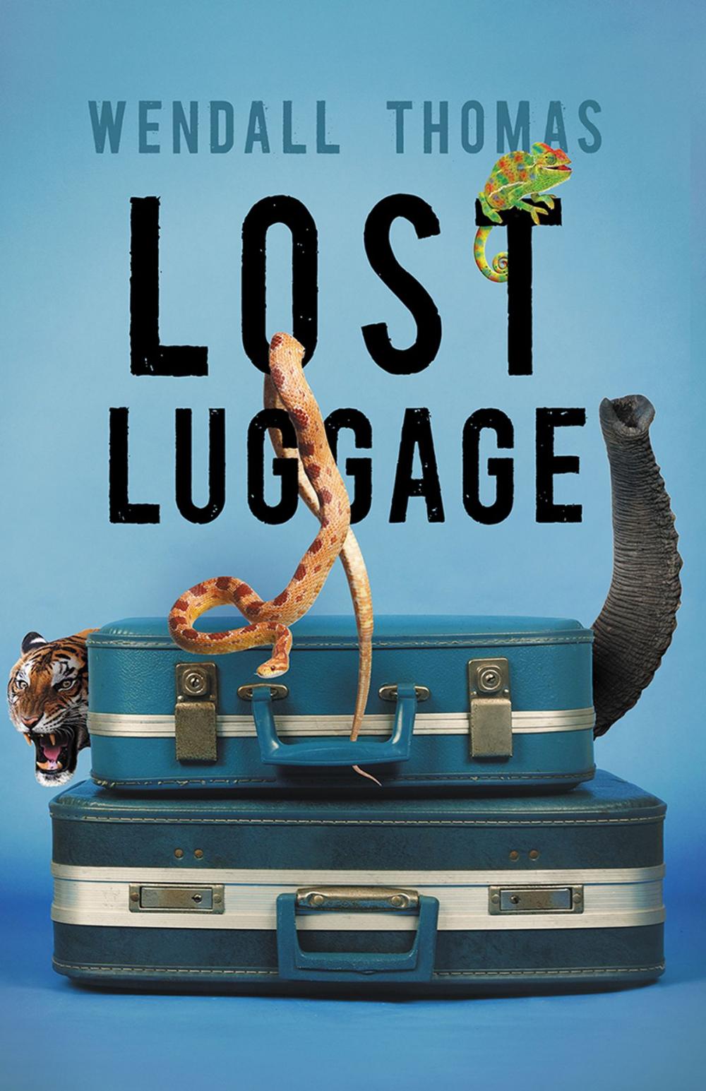 Big bigCover of Lost Luggage