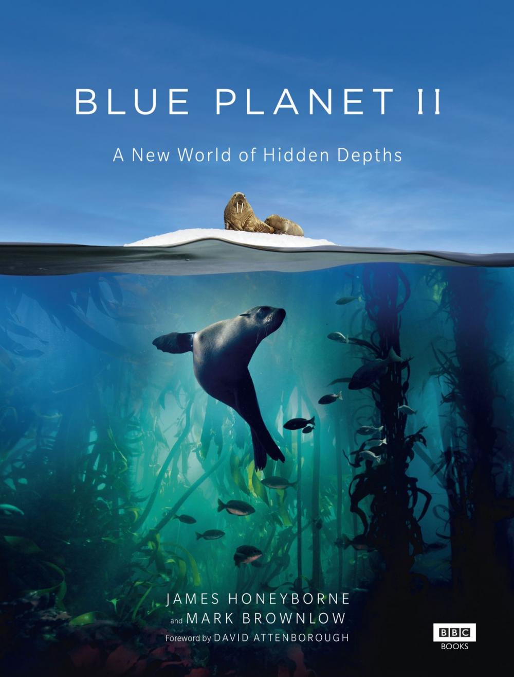 Big bigCover of Blue Planet II
