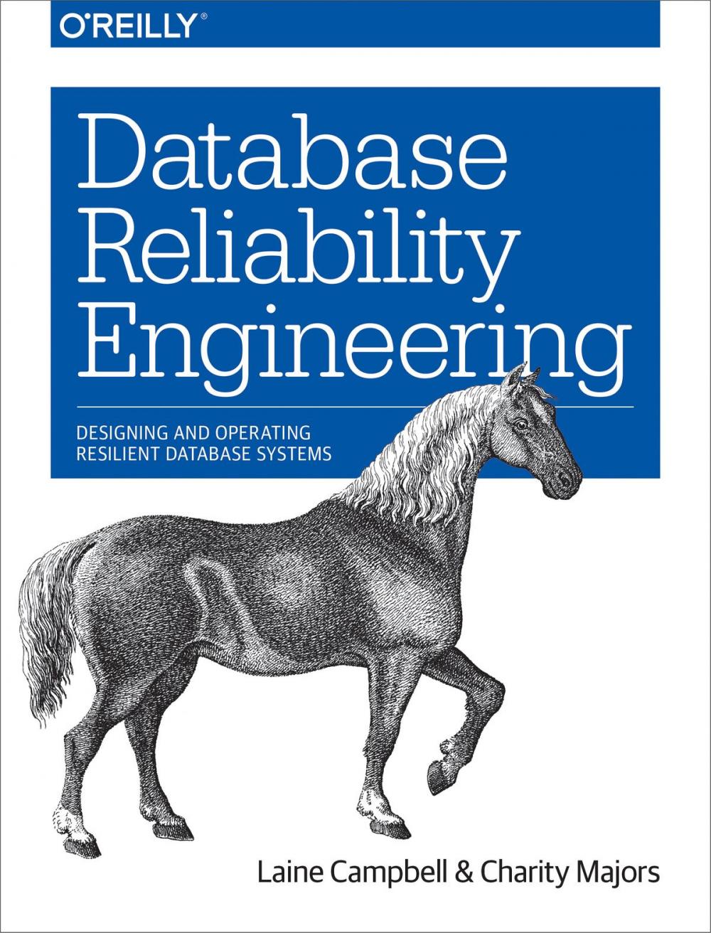 Big bigCover of Database Reliability Engineering