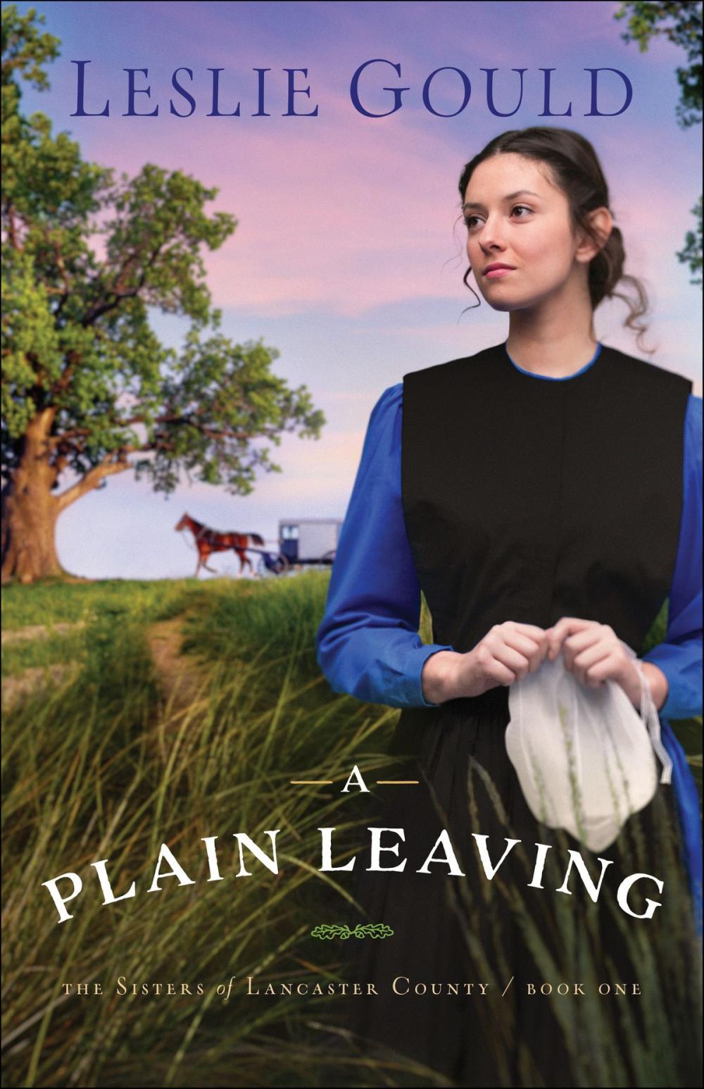 Big bigCover of A Plain Leaving (The Sisters of Lancaster County Book #1)