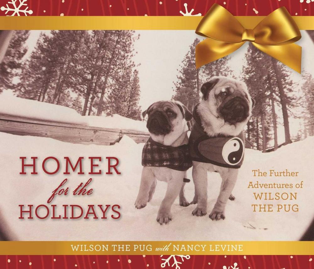 Big bigCover of Homer for the Holidays